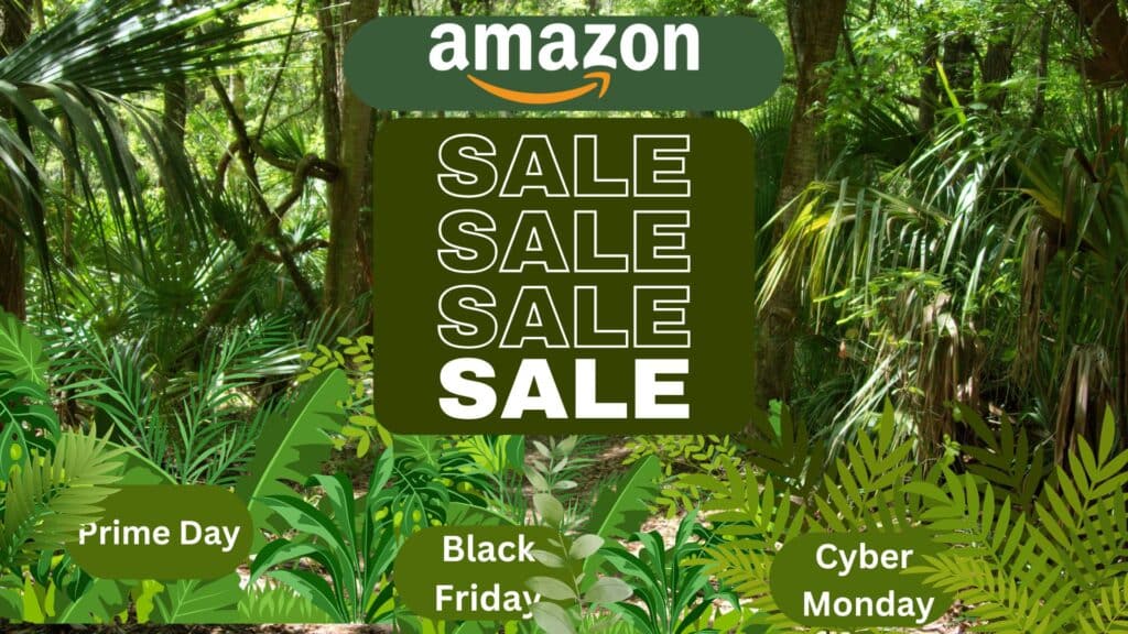 Dschungel der Amazon-Sales-Events